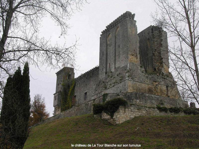 château sur son tumulus